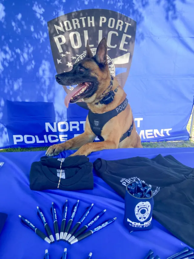 A police K-9 in a department vest, one of the working dogs Chad Walker trains